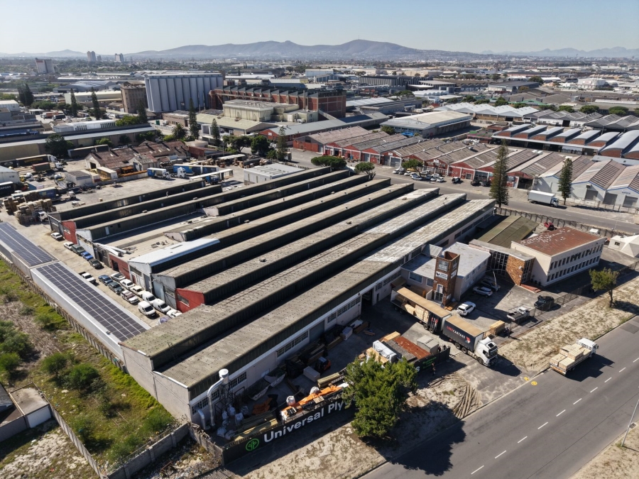 To Let Commercial Property for Rent in Epping Industrial Western Cape